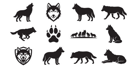 Obraz premium Black wolf silhouette set featuring diverse poses headshots howling running stalking pack behavior icons on a white background silhouette wildlife