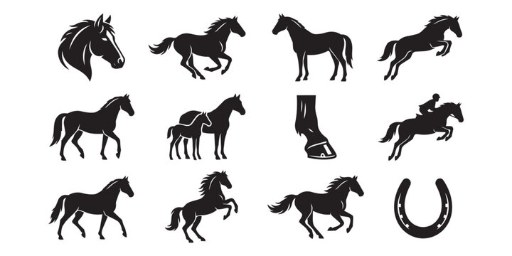 Horse silhouette collection featuring equestrian activities and equine symbols for design projects equestrian silhouette galloping trotting