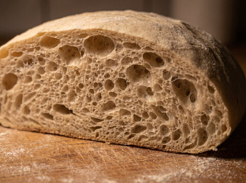 Extreme macro cross section of bread dough 
rising overnight revealing intricate gas 
bubble architecture resembling a 
miniature self-building city