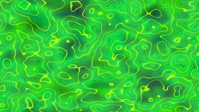 Emerald valley elevation topography map contour lines green