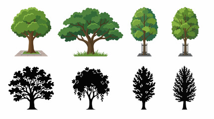 Fototapeta premium Professional vector collection featuring different park tree designs, city park tree, large shade tree, urban landscape tree, mature leafy tree, public garden tree, decorative recreation area tree