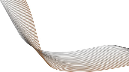 feather on white background © ASiF Raja