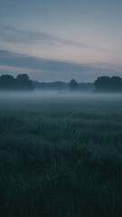 Obraz premium Misty dawn over tranquil meadow mobile wallpaper
