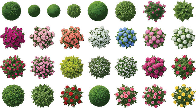 Top view set of garden shrubs and flowering bushes for landscape design architectural site plans vector illustration