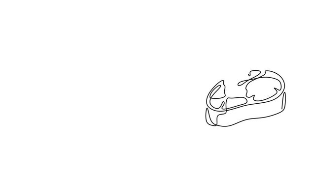 Animated self drawing of continuous line draw of  Line art depiction of meat cuts steak chicken leg and chop.  Full length one line animation. 4K  