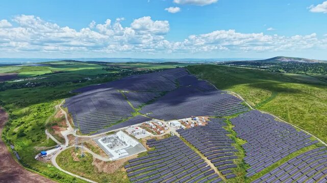 Aerial jacaranda canopy covering hillside vibrant purple blooms form sweeping bands across rolling rural landscape under bright sky drone survey captures wide