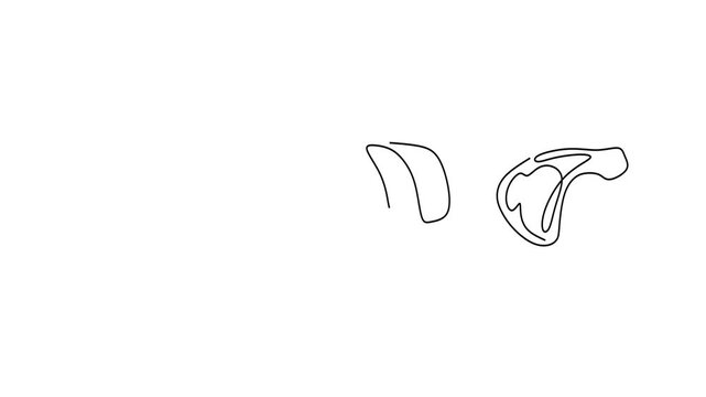 Animated self drawing of continuous line draw of  Continuous Line Art Collection of Various Meat Cuts.  Full length one line animation. 4K  