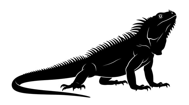 Black iguana silhouette, reptile icon, animal illustration, wildlife graphic