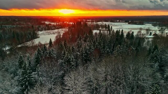 Winter frozen forestry lake landscape golden hour aerial