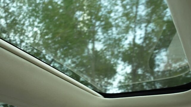 shot of a car sunroof driving through city with trees in the background