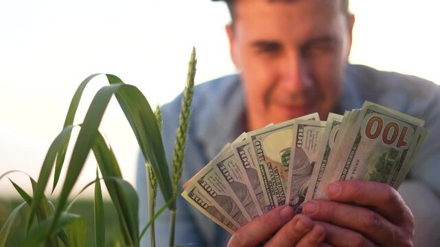 A man holds a bundle of cash near green plants. The man appears content with both the money and the agricultural environment.