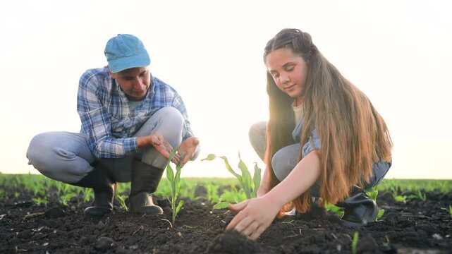 A man and a girl are planting seedlings together in the soil. The man and the girl carefully tend to the growing plants in the bright sunlight.