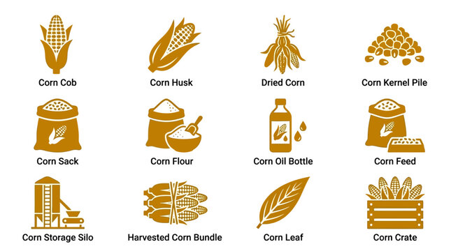 Flat minimal vector icon set of 12 corn agricultural products: corn cob, corn husk, dried corn, corn kernel pile, corn sack, corn flour, corn oil bottle, corn feed, corn storage silo, harvested corn 