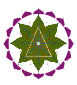 Sacred Geometry Lotus Mandala Graphic - Mystical Spiritual Symbol