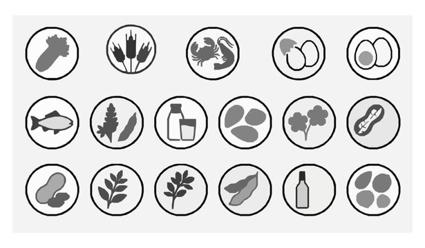 14 Food Allergen Warning Badge Icons Black and White Vector Label Set with English Ingredient Symbols