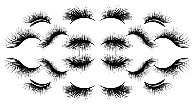Collection of false eyelashes for makeup and beauty applications