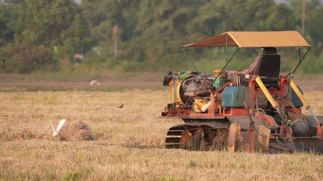 Rice field harvester farm agriculture machine crop rural tractor harvest grain harvesting equipment working in dry paddy farmland countryside tree background