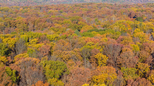 Aerial view of the dense forest canopy displaying vibrant autumn foliage with shades of orange, yellow, and red in Brown County, Indiana, United States.