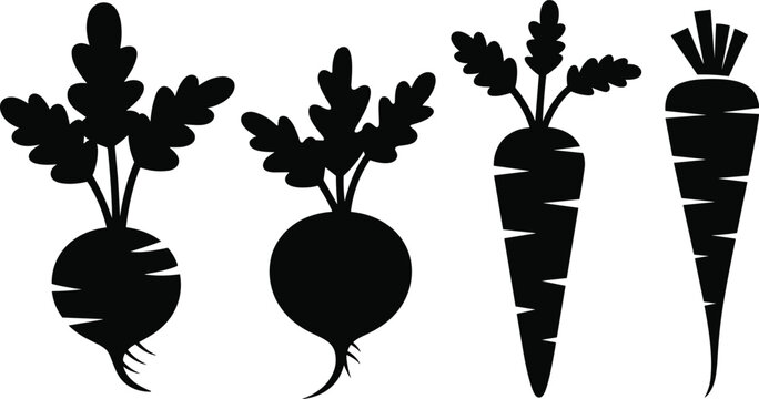 Root vegetables silhouettes vector illustration set, black carrot beet shapes flat graphic icons design elements