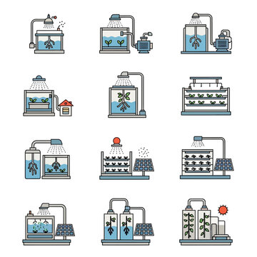 Hydroponic Systems
