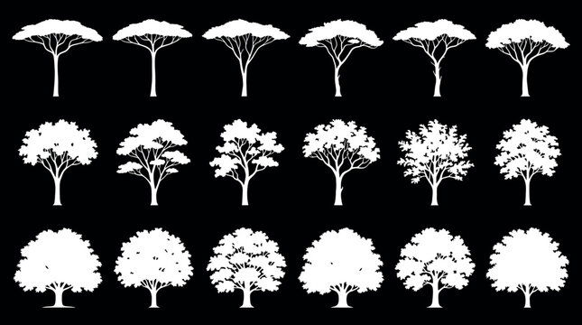 Set of silhouettes of deciduous trees and acacia trees isolated on black background
