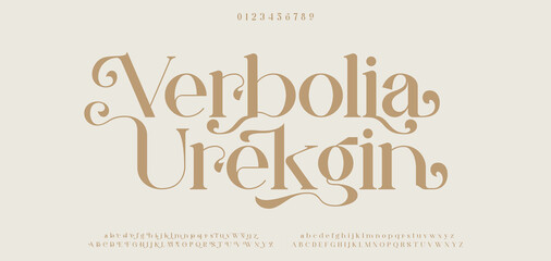 Verbolia Urekgin Elegant wedding alphabet letters font and number. Typography Luxury classic lettering serif fonts decorative vintage retro concept. vector illustration  © DA