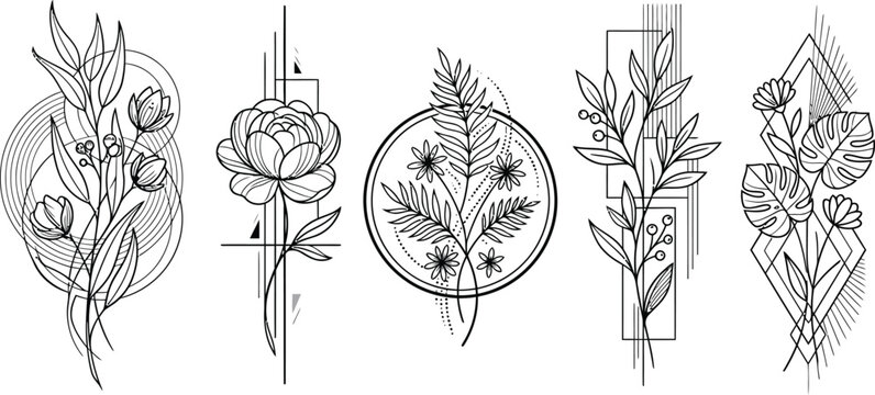 Botanical line art collection with floral arrangements and geometric shapes on a white background