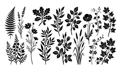 Wildflower and fern botanical silhouette collection isolated black floral vector set © Crafts Home
