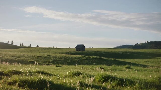 Gentle breeze stirring front grasses, revealing small wooden shed in wide meadow, sunlight warming