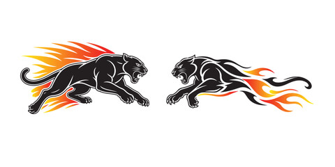 Fototapeta premium Two aggressive black panthers with flaming dynamic fire effects, aggressive