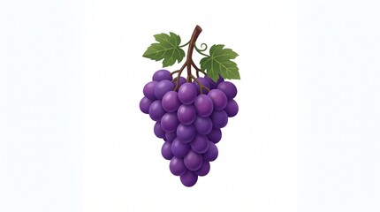 Fototapeta premium A Bunch of Fresh Purple Grapes with Green Leaves on a White Background