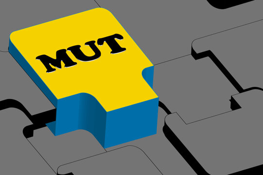 Puzzle Mut 1