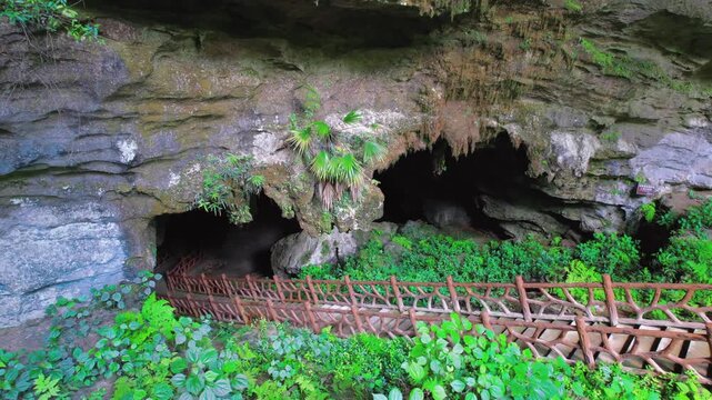 An overhead view showing the path leading to the mouth of a natural cave, surrounded by lush green vegetation. 