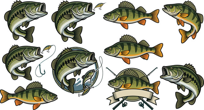 Freshwater sport fishing vector set featuring largemouth bass, perch, fishing lures, and angler emblems in detailed vintage illustration style