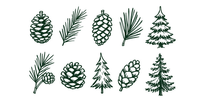pine cone elements and Christmas tree doodle icon set vector illustration