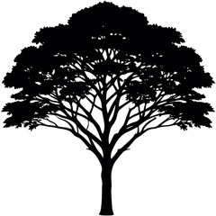 Fototapeta premium African Safari Acacia Tree Silhouette Vector - Isolated Savanna Umbrella Tree Icon on White Background