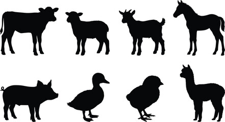 Fototapeta premium Set of baby farm animals black silhouettes including calf lamb goat kid foal piglet duckling chick and alpaca on white background