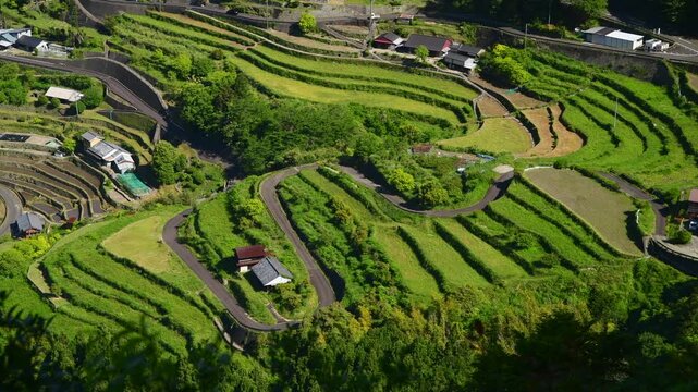 丸山千枚田