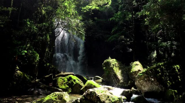 桑ノ木の滝