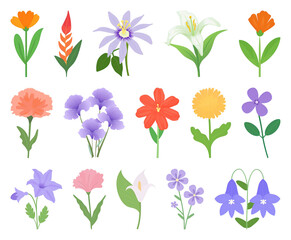 Obraz premium PNG Colorful illustrated floral collection on transparent background