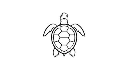 Simple outline illustration of a sea turtle on white background © Kenari