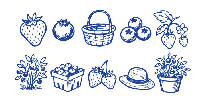 berry picking elements and strawberry blueberry doodle icon set vector illustration