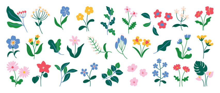 Spring flower vector elements set. Colorful flat floral clipart with wildflowers, leaves, blossoms and botanical stems for cards, invitations and nursery decoration.