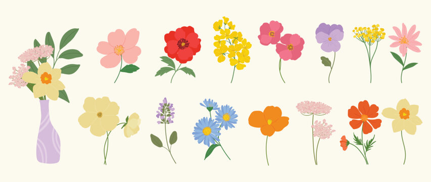 Spring flower vector elements set. Colorful flat floral clipart with wildflowers, leaves, blossoms and botanical stems for cards, invitations and nursery decoration.