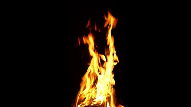 Dynamic bright fire flames burning in dark night against black background. Burning fire in outdoor fireplace close up.
