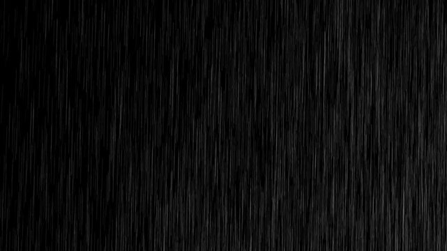 heavy rain looping over black background.Rainy Weather.Heavy rain and weather storm in raining season.Abstract vector background.seamlessly looped rain animation.