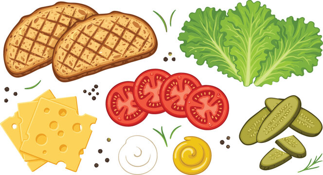 Sandwich ingredients vector illustration set with grilled whole wheat bread slices, fresh lettuce, sliced tomatoes, swiss cheese, pickles, mustard, and mayonnaise isolated on white background.
