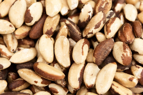 Whole organic castanha do para or brazil nuts