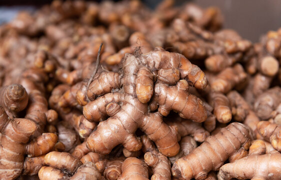 Curcuma longa or turmeric