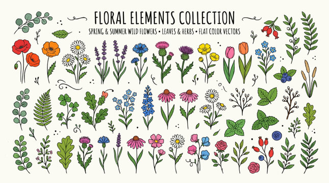 Collection of floral elements in flat color. Set of spring and summer wild flowers, plants, branches, leaves and herb. Hand drawn of blossom vectors for decor, website, graphic and shop.